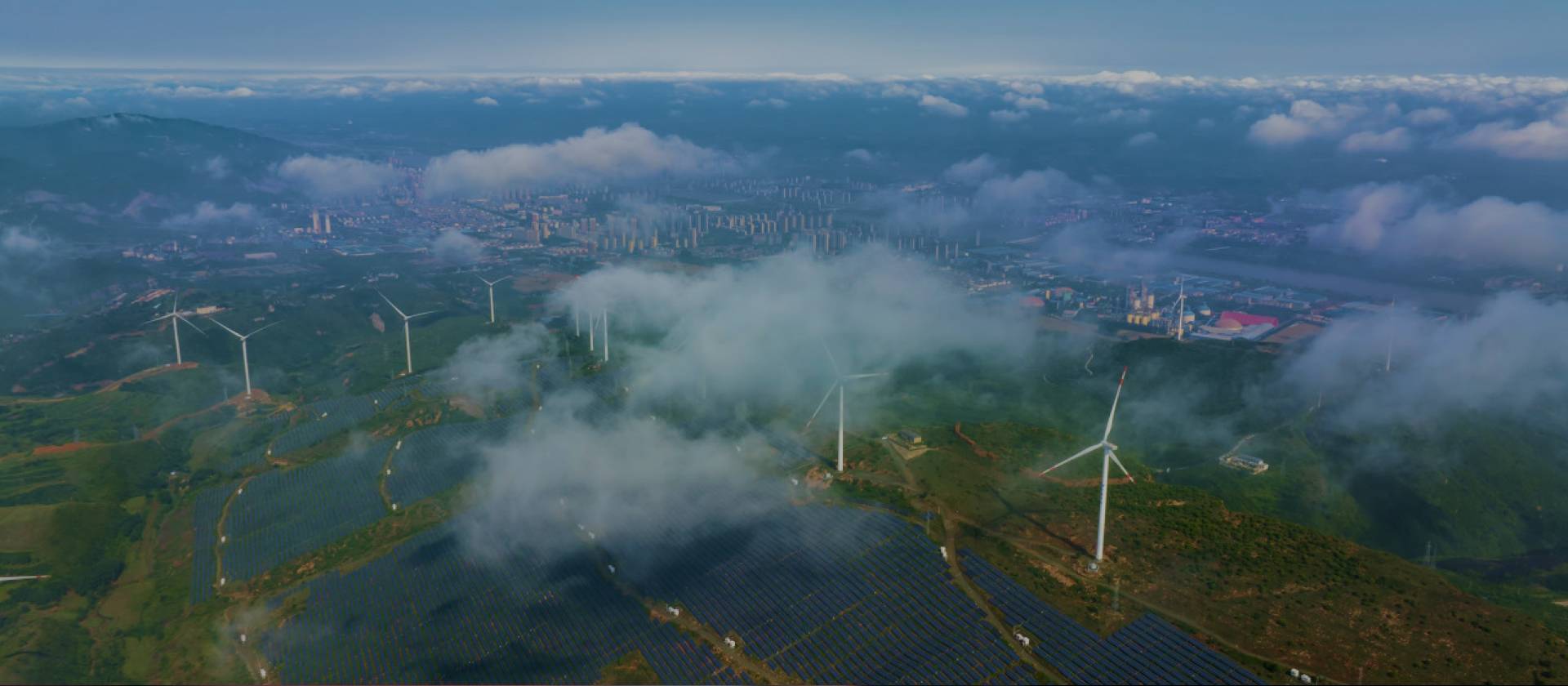 新利luck18(中国)体育·官方网站